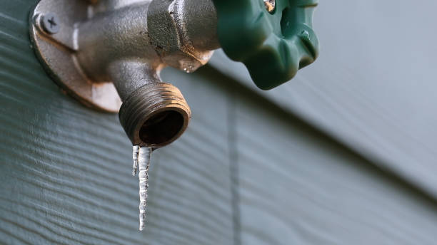Best Local Plumber Services  in Wayland, IA